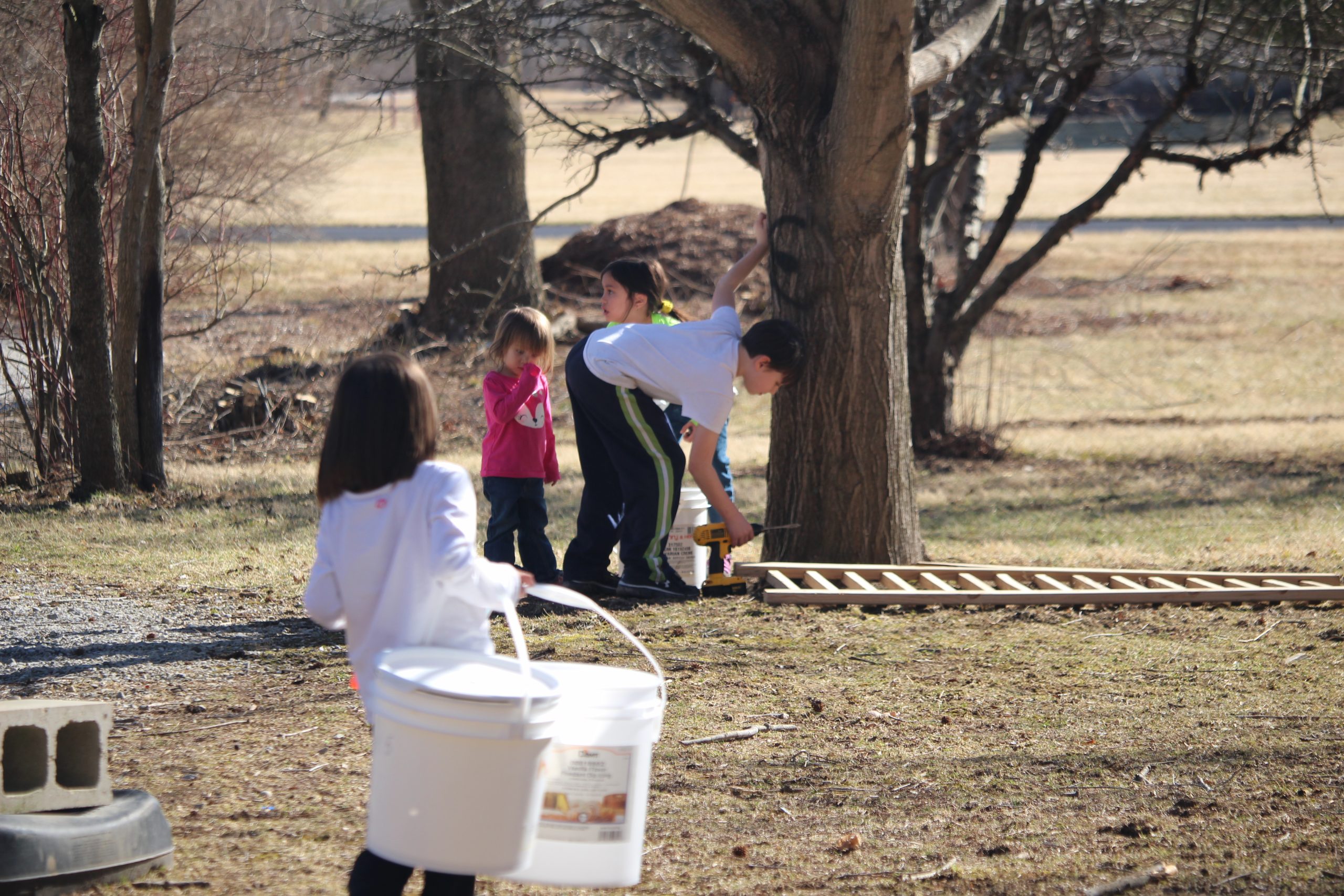 Tree Tapping Good Time