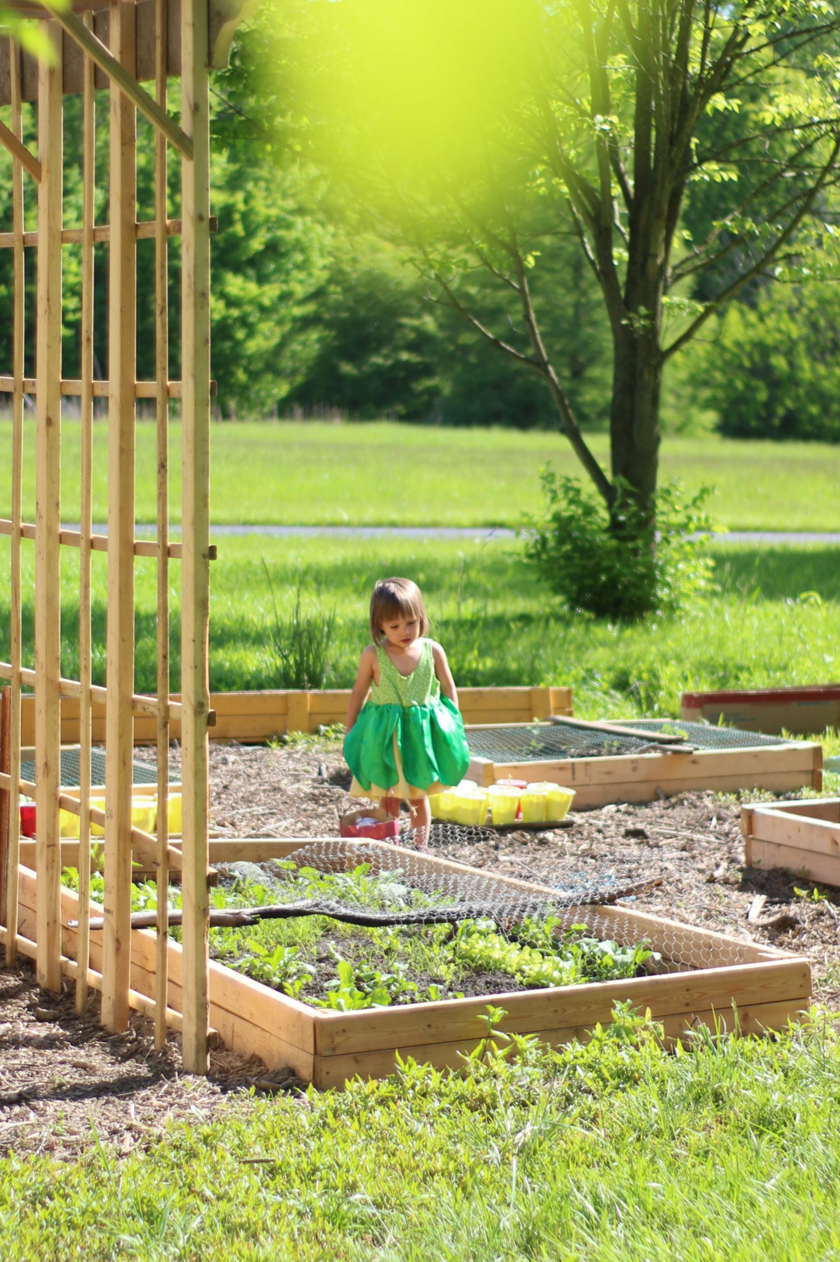 Homesteading on a Budget -aren’t we all?