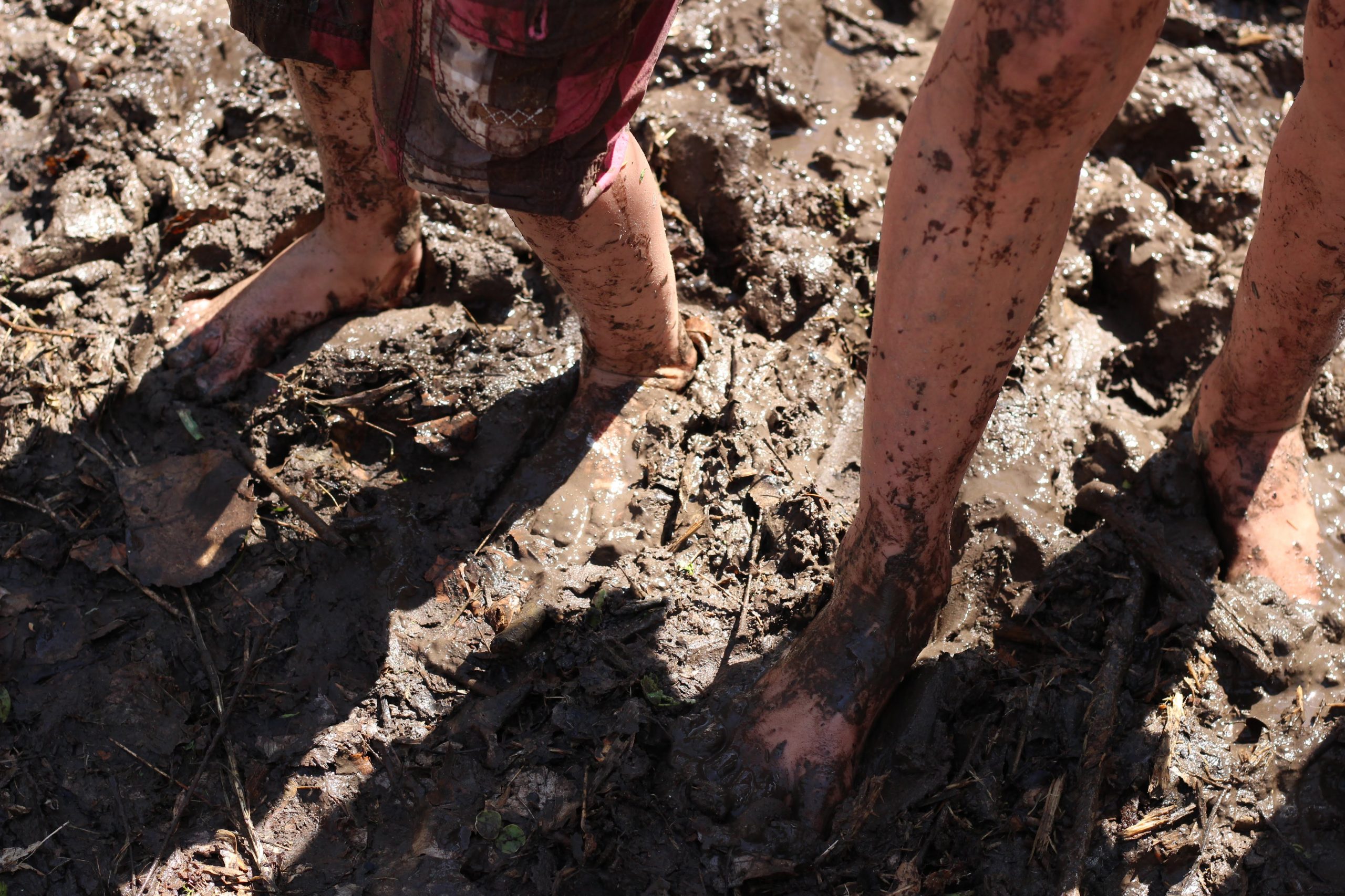 Muddy feet on a woodland adventure.