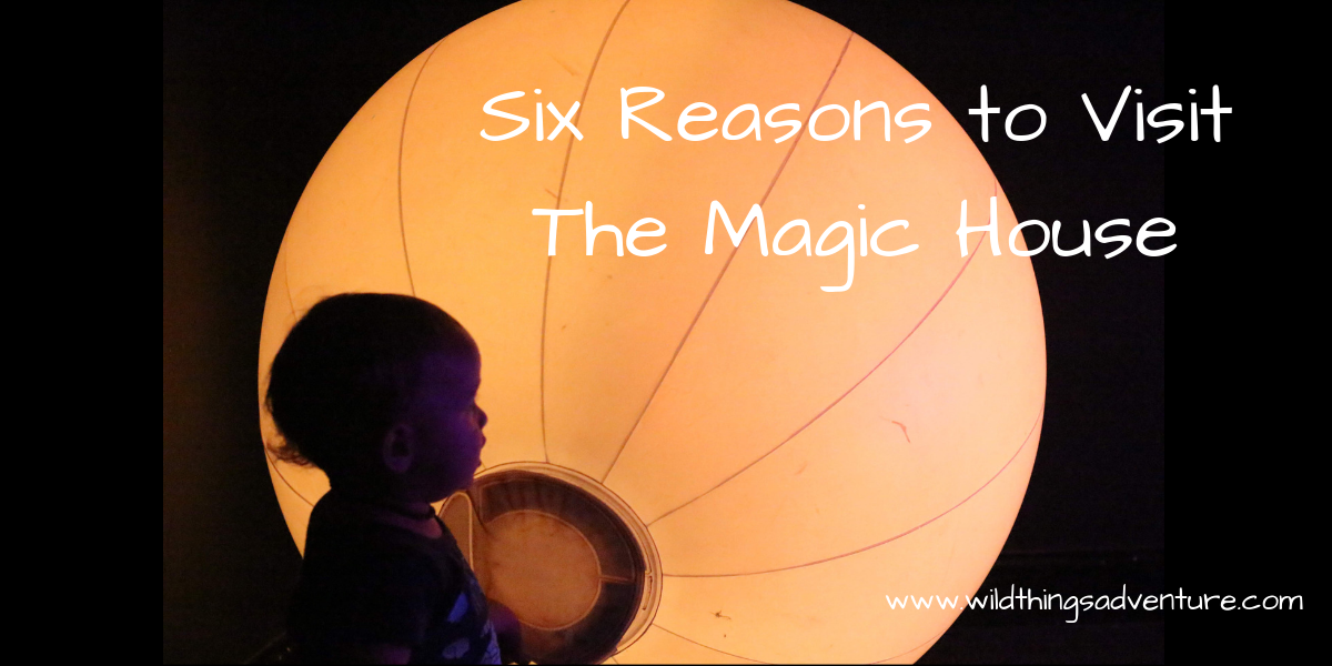 6 Reasons to Visit Magic House St Louis