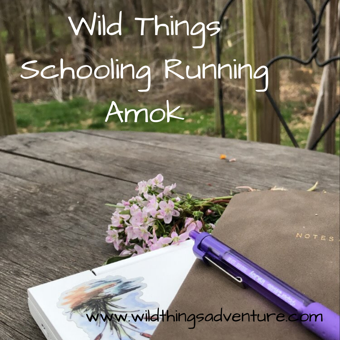 Wild Things Schooling Running Amok